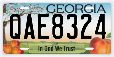 GA license plate QAE8324