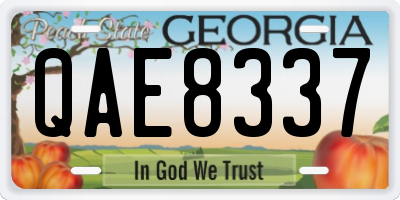 GA license plate QAE8337