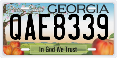 GA license plate QAE8339