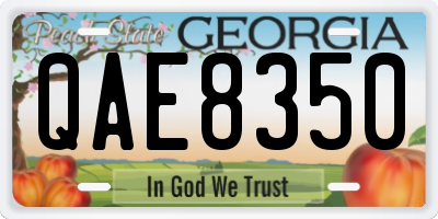 GA license plate QAE8350