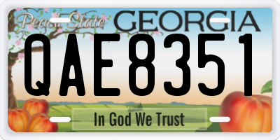 GA license plate QAE8351