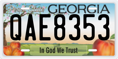 GA license plate QAE8353