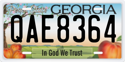 GA license plate QAE8364