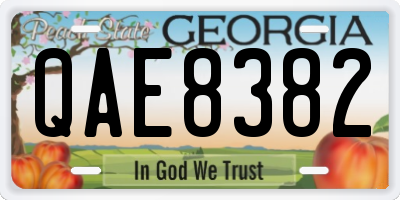 GA license plate QAE8382