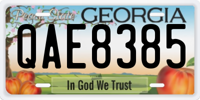 GA license plate QAE8385