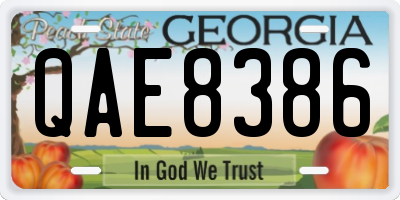 GA license plate QAE8386