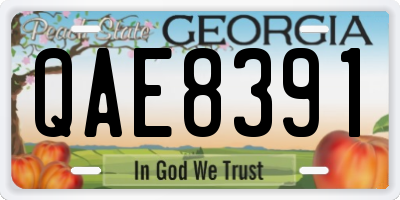 GA license plate QAE8391