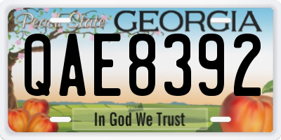 GA license plate QAE8392
