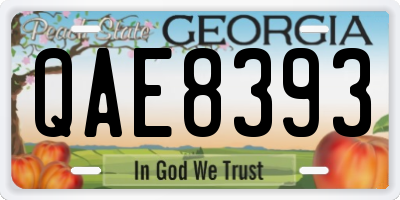 GA license plate QAE8393