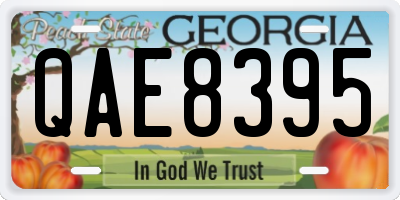 GA license plate QAE8395