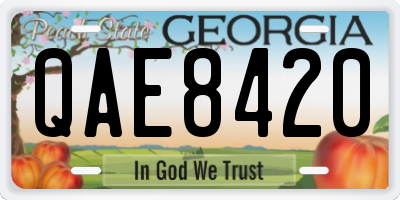 GA license plate QAE8420