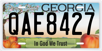 GA license plate QAE8427