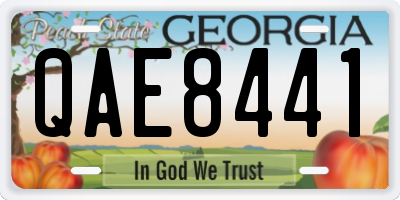 GA license plate QAE8441