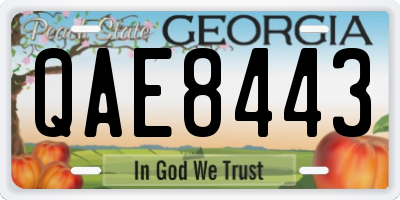 GA license plate QAE8443