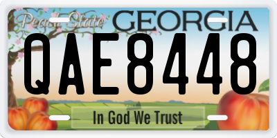 GA license plate QAE8448