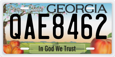 GA license plate QAE8462