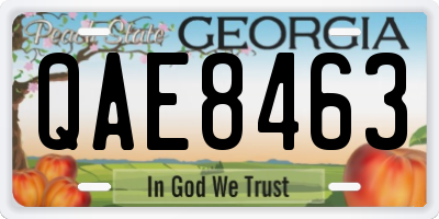GA license plate QAE8463
