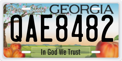 GA license plate QAE8482