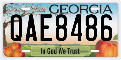 GA license plate QAE8486