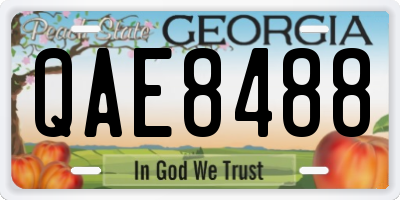 GA license plate QAE8488
