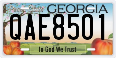 GA license plate QAE8501