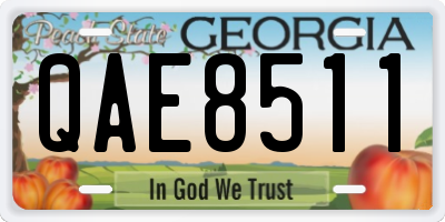 GA license plate QAE8511