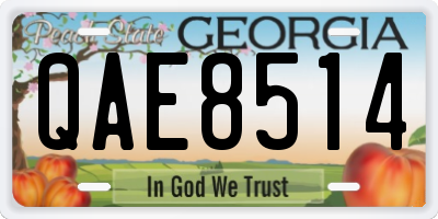 GA license plate QAE8514