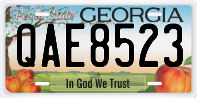 GA license plate QAE8523
