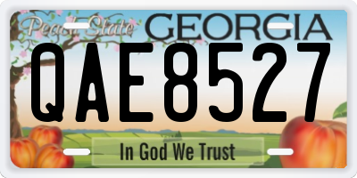 GA license plate QAE8527