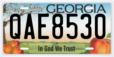 GA license plate QAE8530