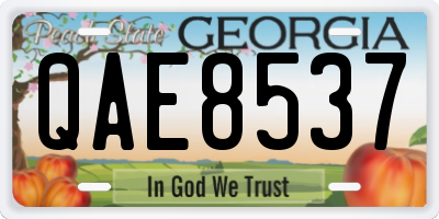 GA license plate QAE8537