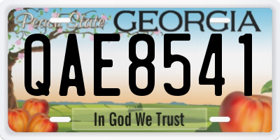 GA license plate QAE8541