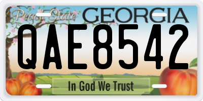 GA license plate QAE8542