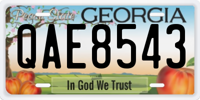 GA license plate QAE8543