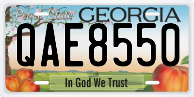 GA license plate QAE8550