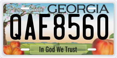 GA license plate QAE8560