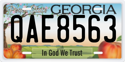 GA license plate QAE8563