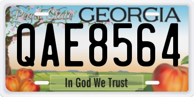 GA license plate QAE8564