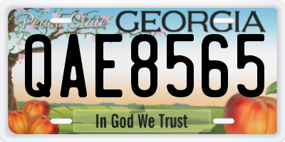 GA license plate QAE8565