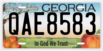 GA license plate QAE8583
