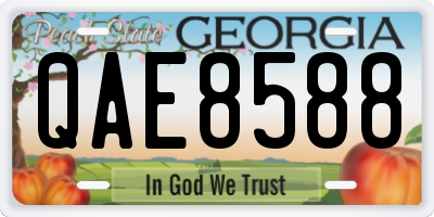 GA license plate QAE8588