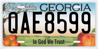 GA license plate QAE8599