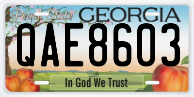 GA license plate QAE8603
