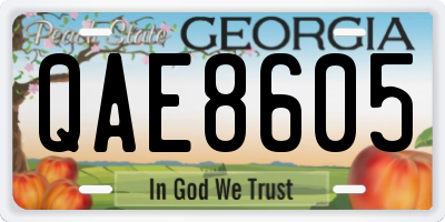 GA license plate QAE8605