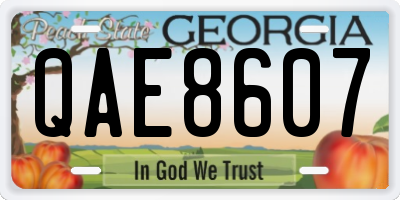 GA license plate QAE8607