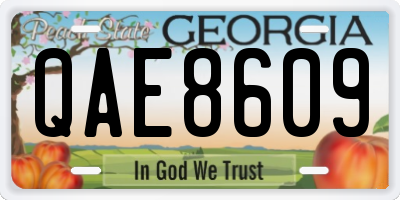 GA license plate QAE8609
