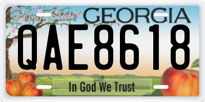 GA license plate QAE8618