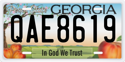GA license plate QAE8619
