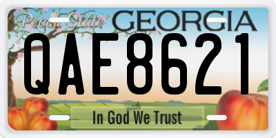 GA license plate QAE8621