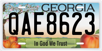 GA license plate QAE8623